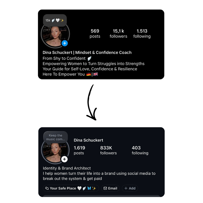 Dina's Instagram grew from 15K to 833K followers
